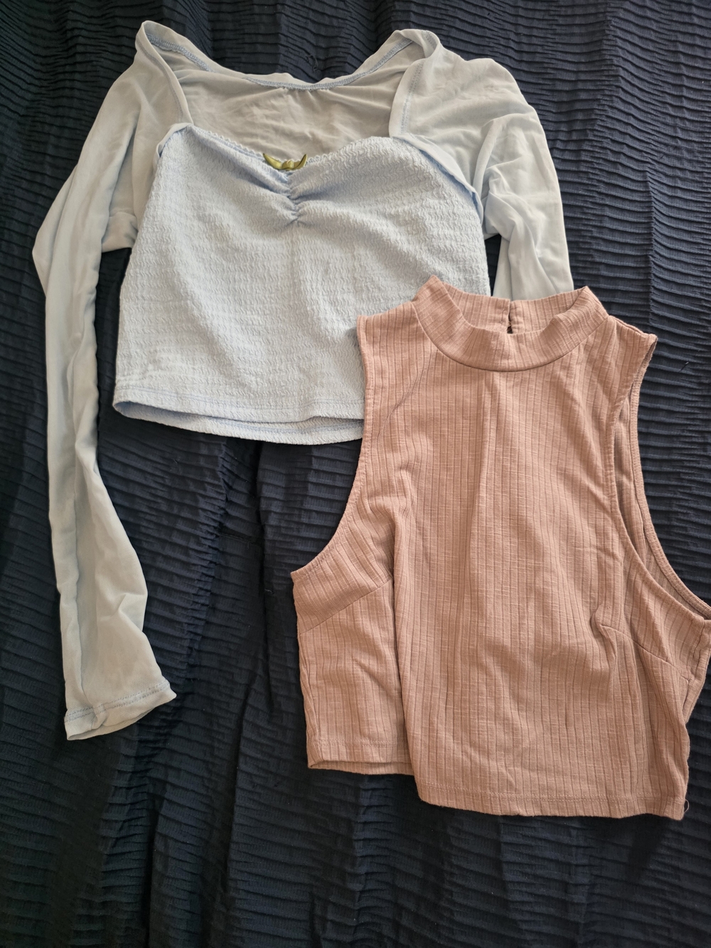 Shein Blue Crop Top & Charlotte Russe dusty rose Crop Top